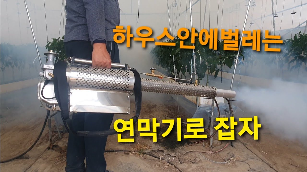 [고추재배]하우스안에 진딧물,총체벌레,나방류 파리까지 효과가좋은 연막기로