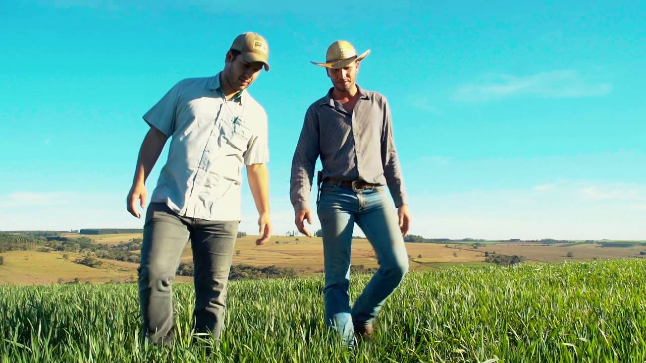 V&iacute;deo institucional Agro Ferrari