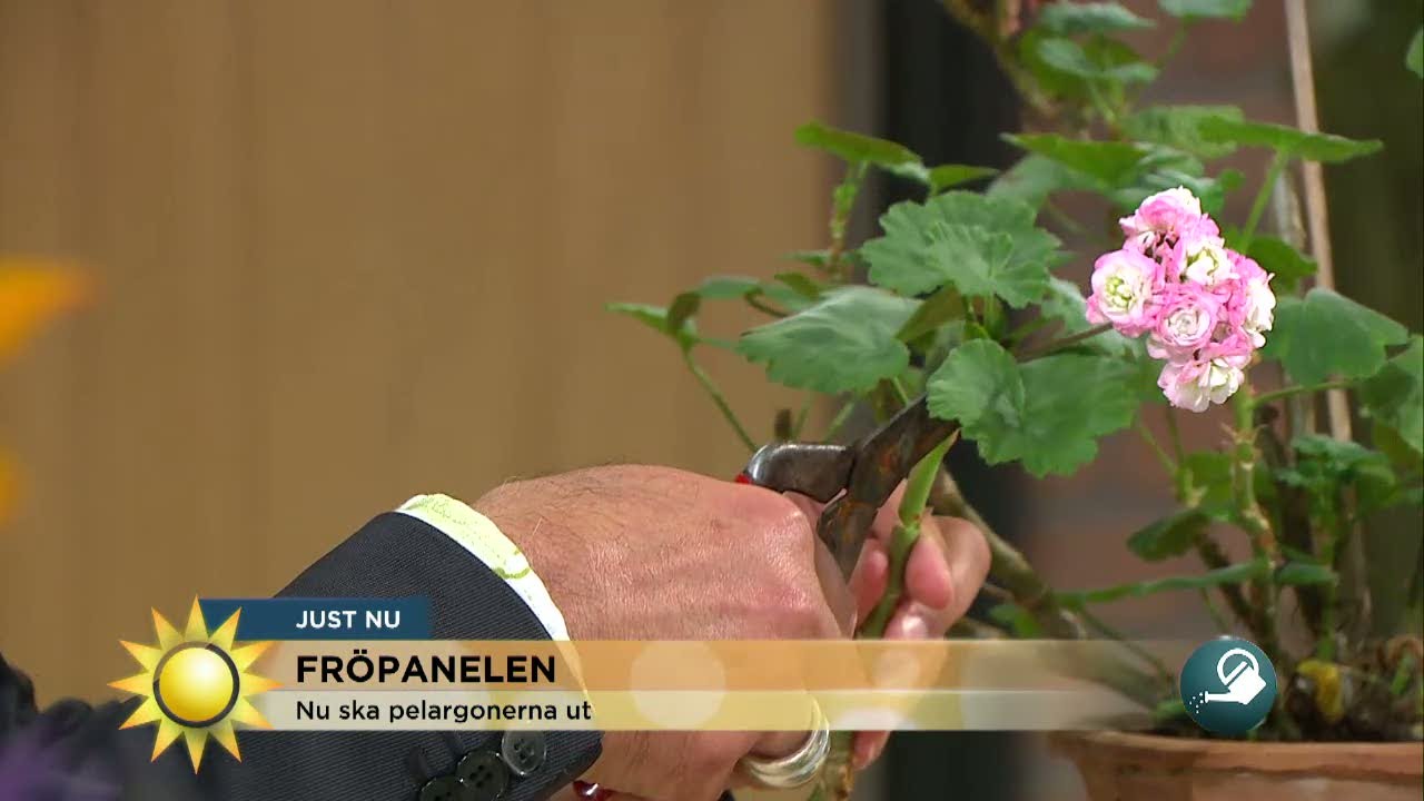 Fröpanelen: 