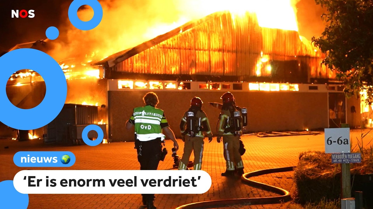 Paarden om het leven gekomen bij grote stalbrand in Zeewolde