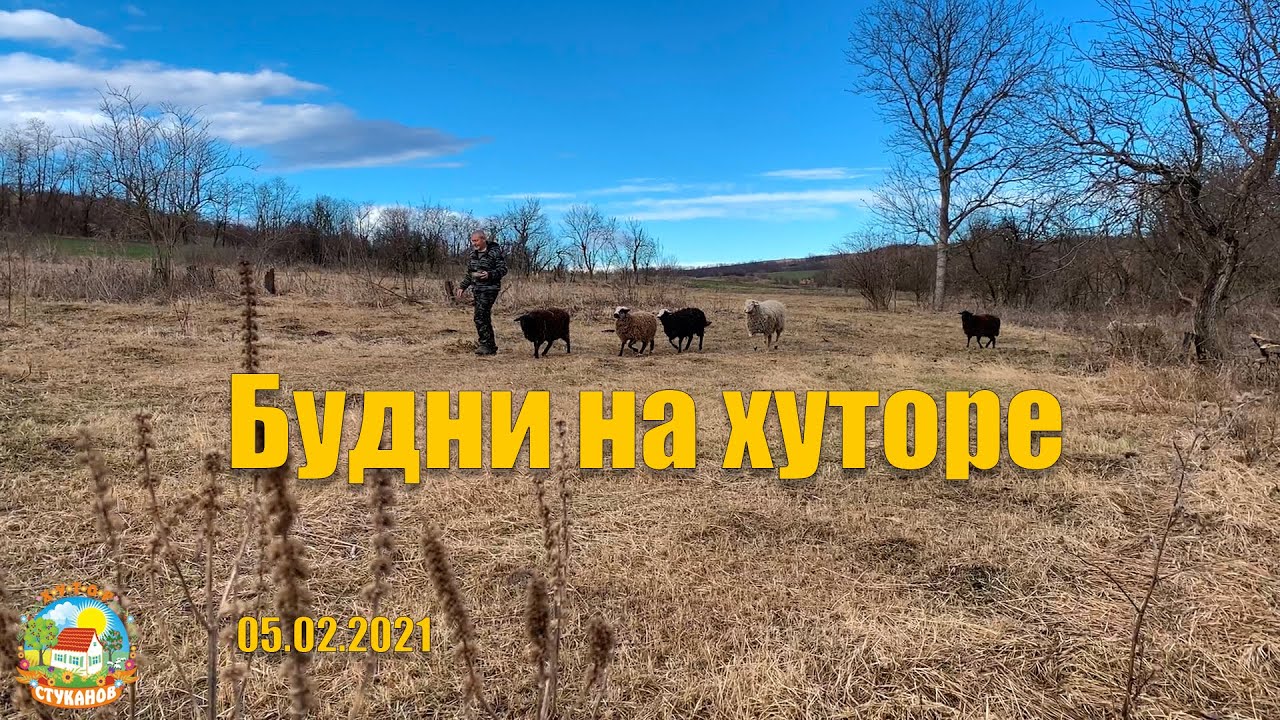 #123 Жизнь в деревне идёт своим чередом. Хуторские будни.