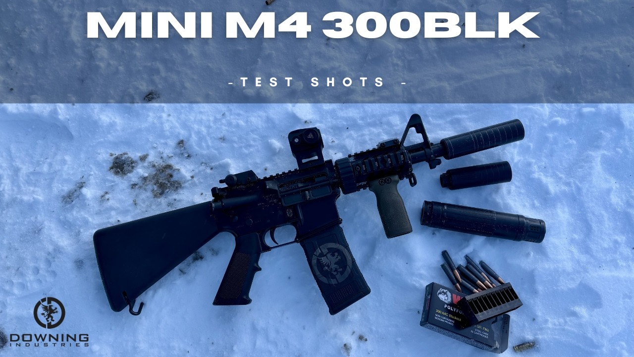 Mini M4 300 Build   First Shots