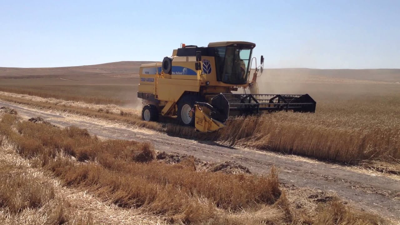 NewHolland TC56 Paşakoy 6