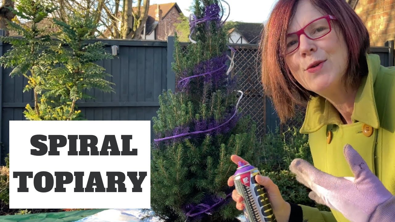 From A Christmas Tree To A Spiral Topiary || My First Ever Attempt!!