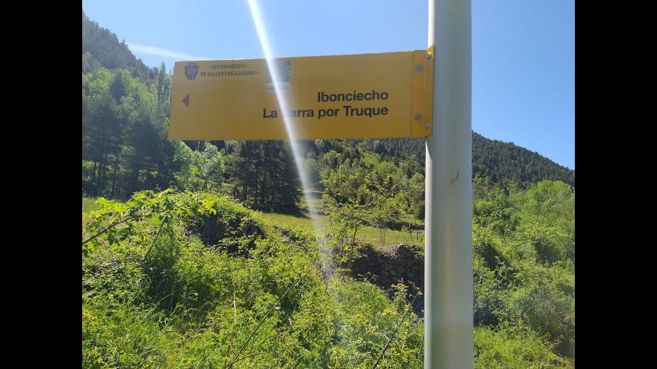 Ibonciecho de Musales