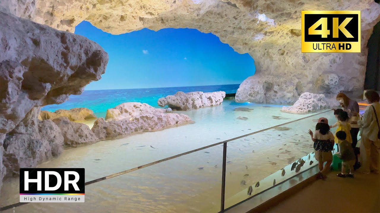 Okinawa - DMM Kariyushi Aquarium - 4K HDR