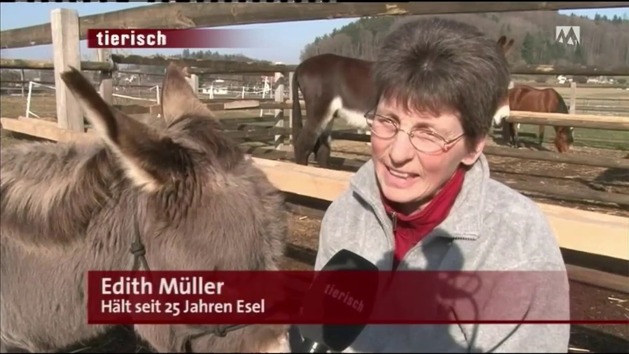 Tierisch Beitrag Eselmueller (Tele M1)