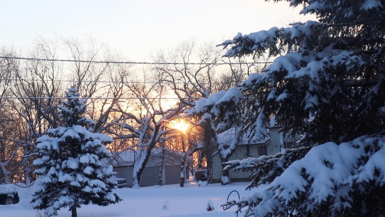 Living in a snow globe!❄️Baking bread🍞Visits from Blue Jays and Chickadees🐦