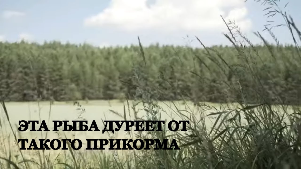 98% НЕ ЗНАЮТ О 