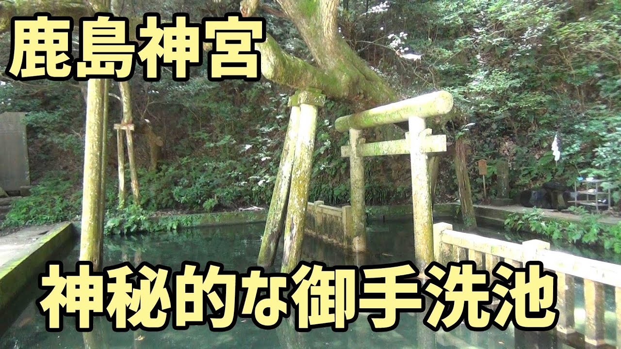 【鹿島神宮】厳粛な森の先に奥宮、地震抑える要石、神秘的な御手洗池【夏休みSPハスラー茨城横断】