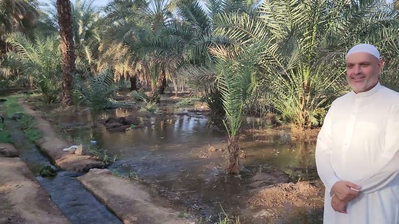 مزرعة الضابطة التاريخية بالمدينة المنورة [ مزرعة عبد الرحمن بن عوف الزهري ] رضي الله عنه ( سوالة )