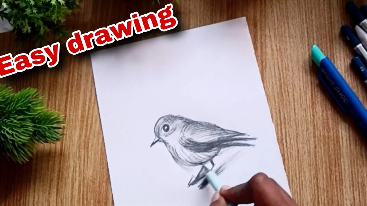 Easy bird drawing 🐦🐦 #art #drawing 