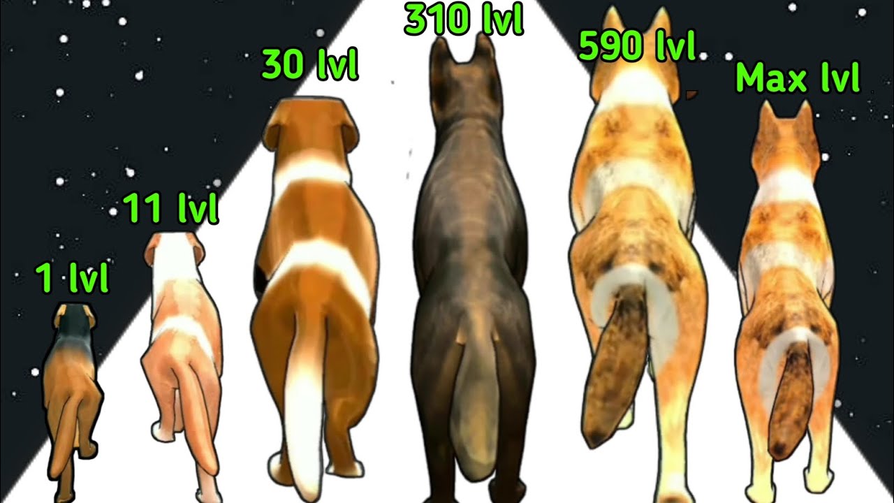 Melty Bubble 2048 vs Dog Evolution Run 3D - (Walkthrough, No Ads) Sastifying ASMR Gameplay