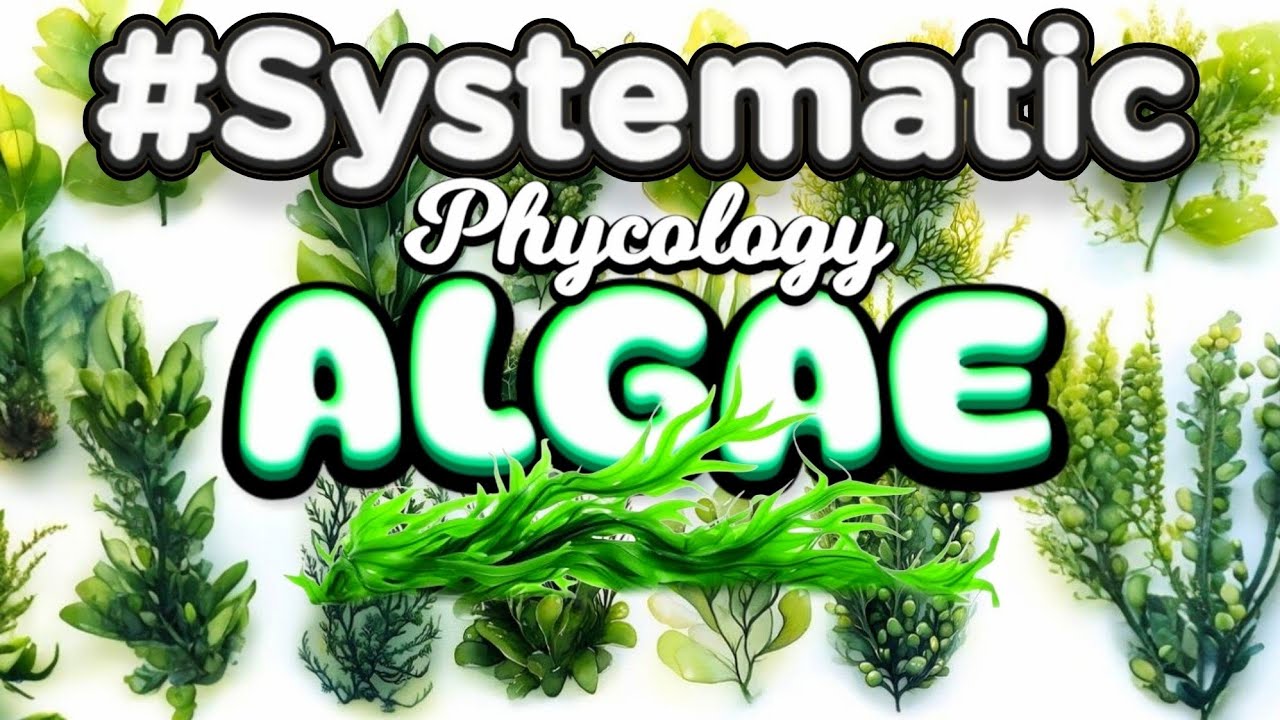 Characters of Algae - Prokaryotic Algae, Cyanobacteria “Nostoc”
