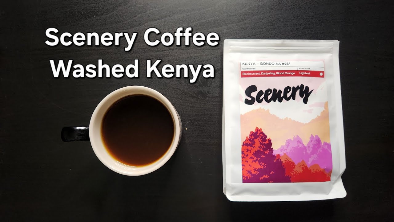 Обзор кофе Scenery Coffee (Лондон, Англия) - Мытый кофе Kenya Gondo AA