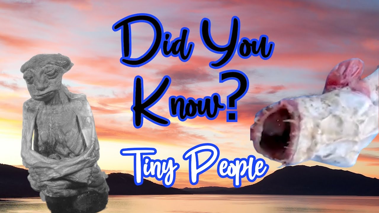 Exploring the Secrets of Mount Konocti: The Legend of Tiny People and More