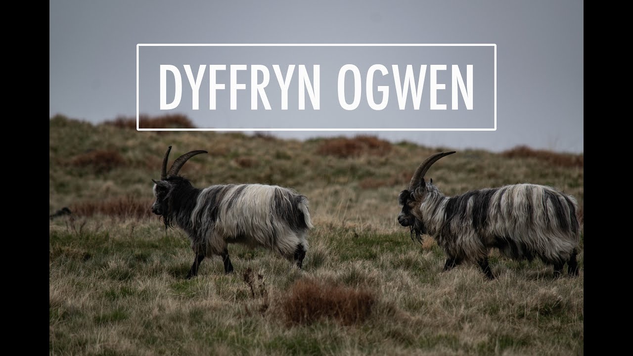 Pen Yr Ole Wen, Llyn Idwal & The Ogwen Valley