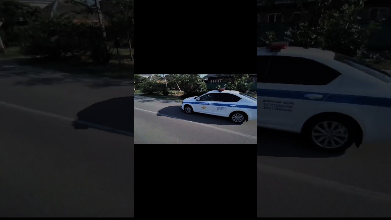 реакция ДПС на стант #automobile #mtb #wheelie #bike #bikelife #стант #дпс #stunt #grau