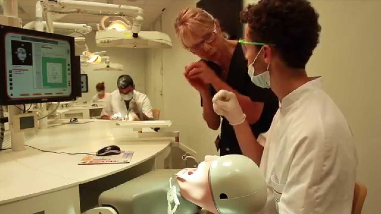 Faculté d'odontologie de Lyon : Innovation pédagogique