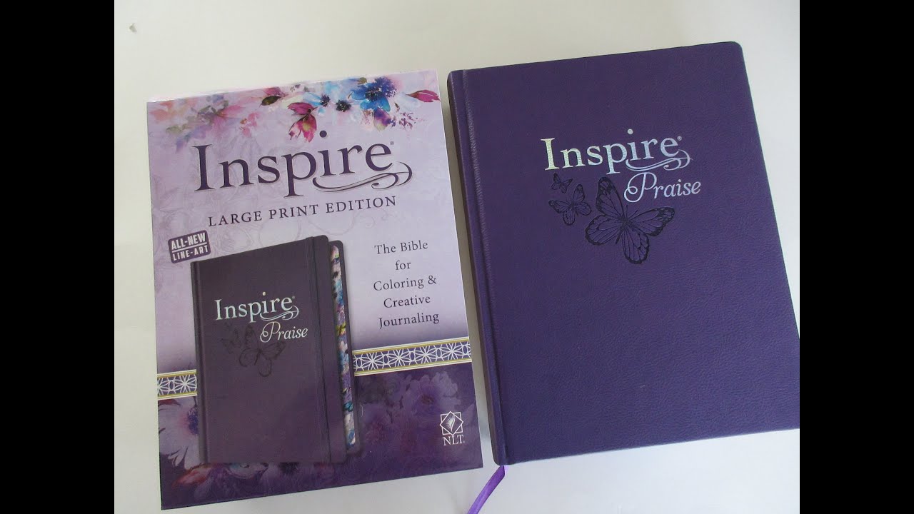 Inspire Praise Bible LARGE Print Review & Flip Through