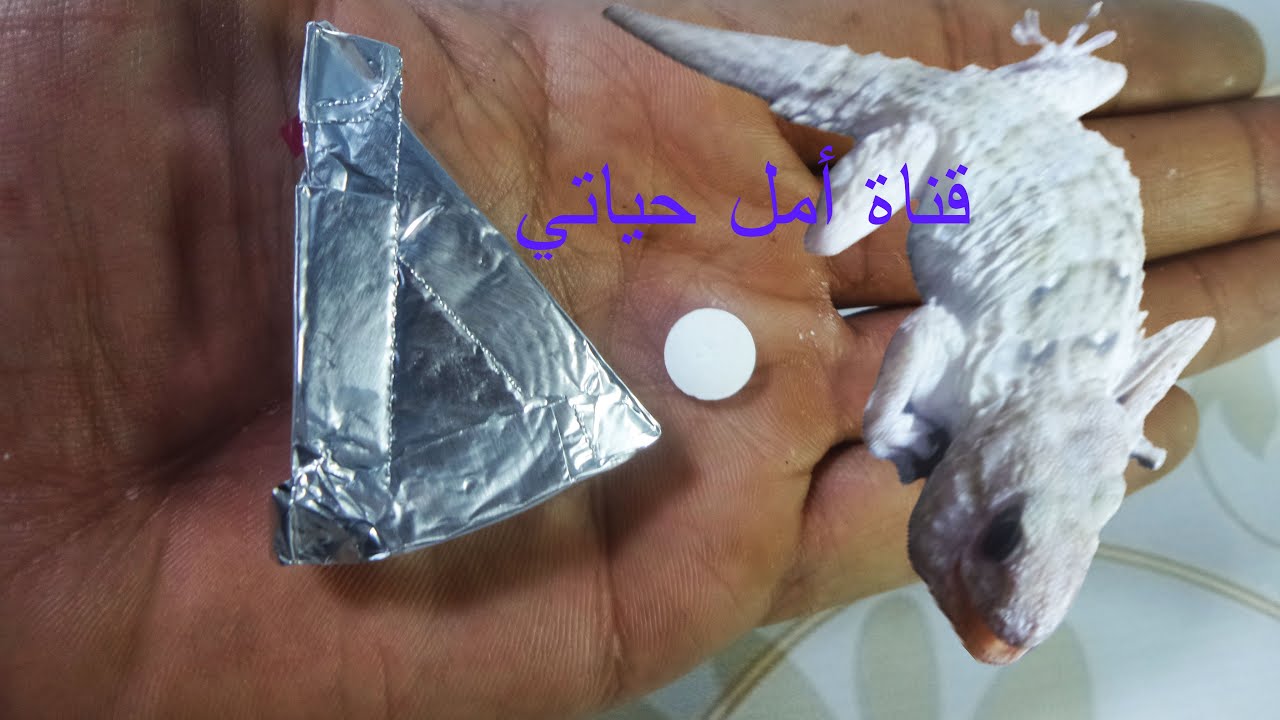 أسهل وصفة  للتخلص من البرص 