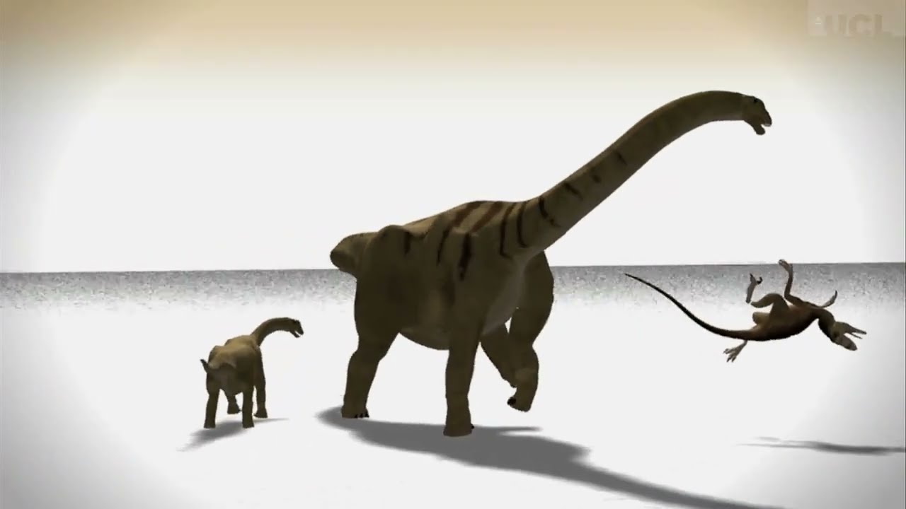 Brontomerus publicity video