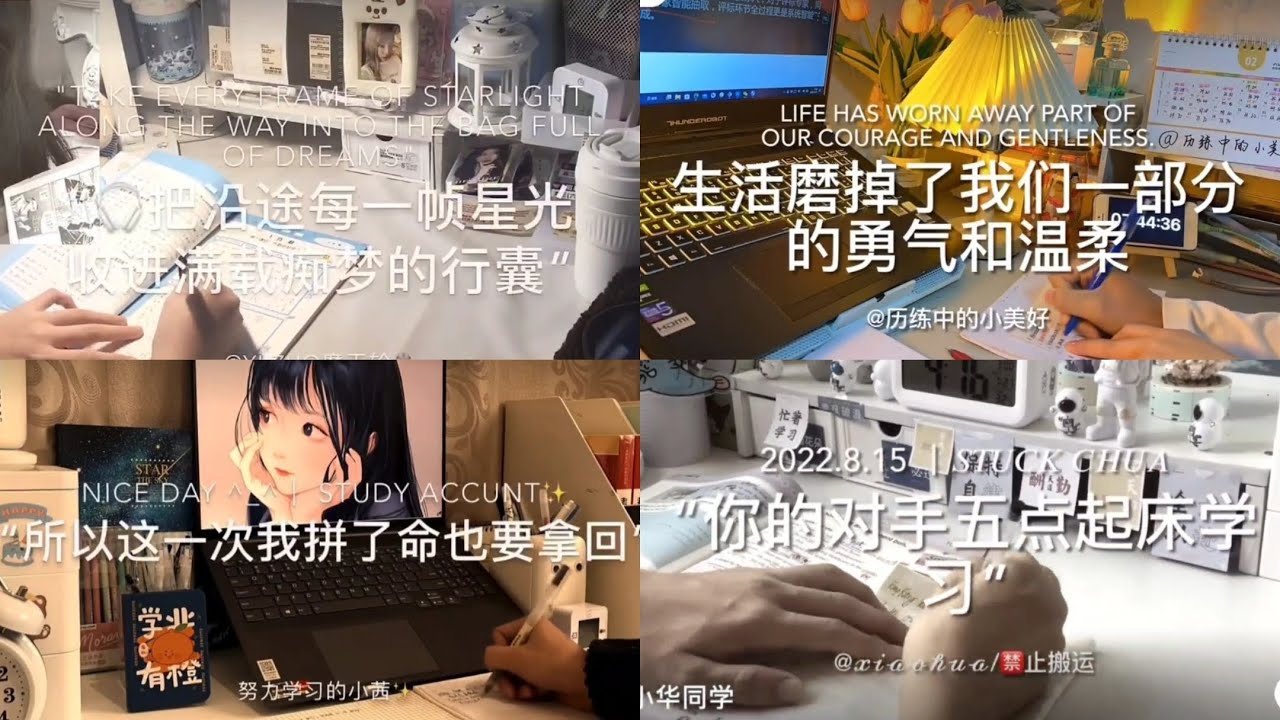 小红书/抖音/超燃励志语录💐*加长版*/study to me