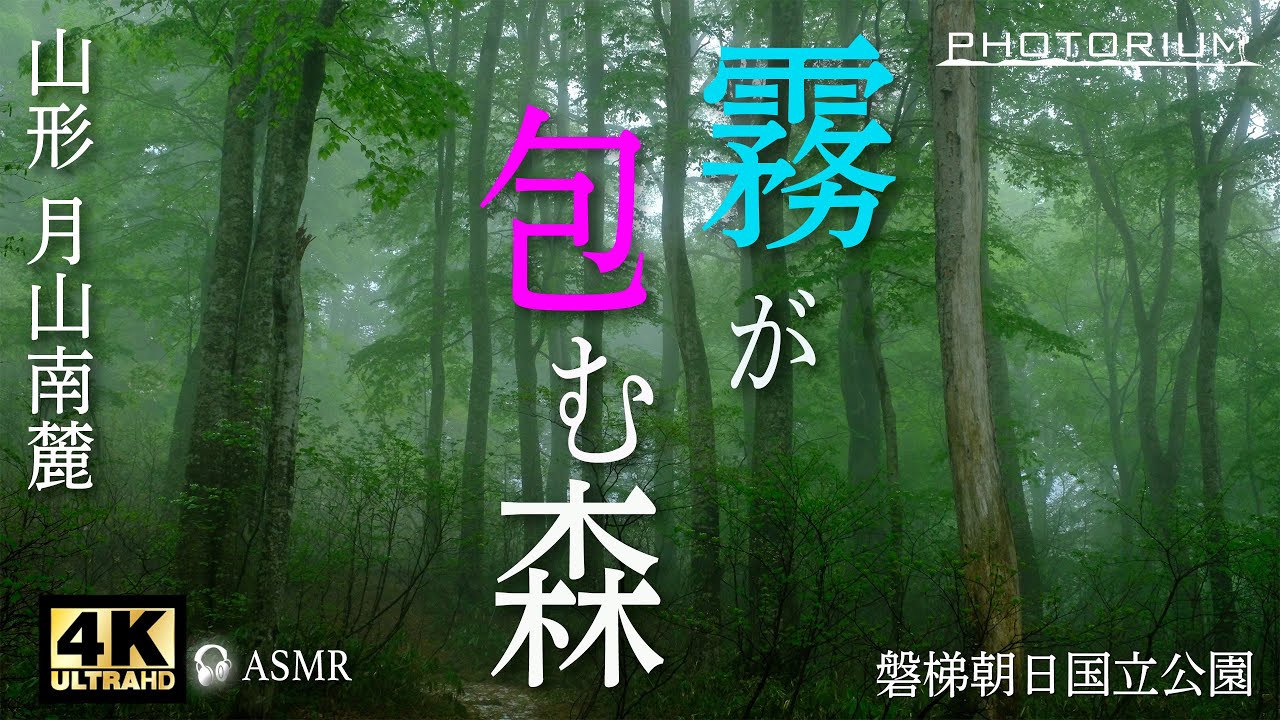 PHOTORIUM＃005【自然音 癒し】山形・月山/ 霧が立ち込めるブナ林　リラックスや睡眠用、免疫力アップ作業用にも/ #japanphoto