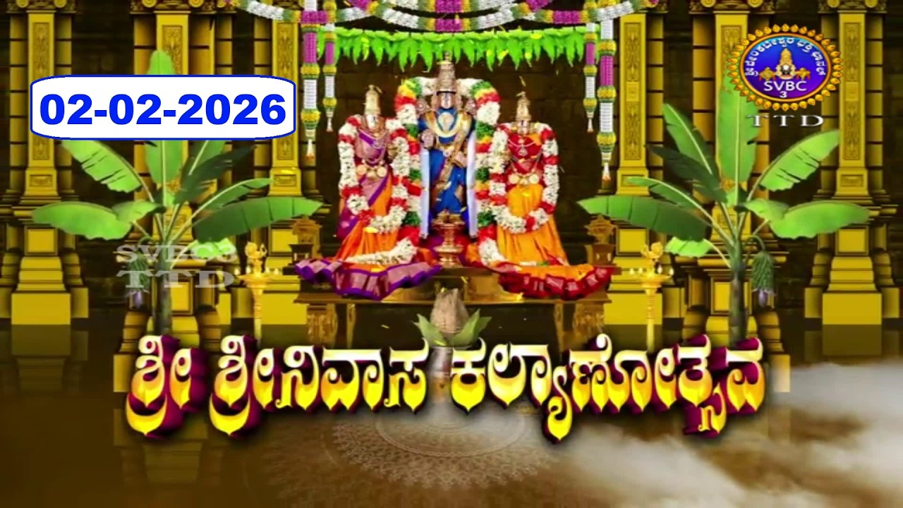 Srivari Kalyanotsavam || Tirumala || 02-02-2026 || SVBC3 Kannada || SVBC TTD