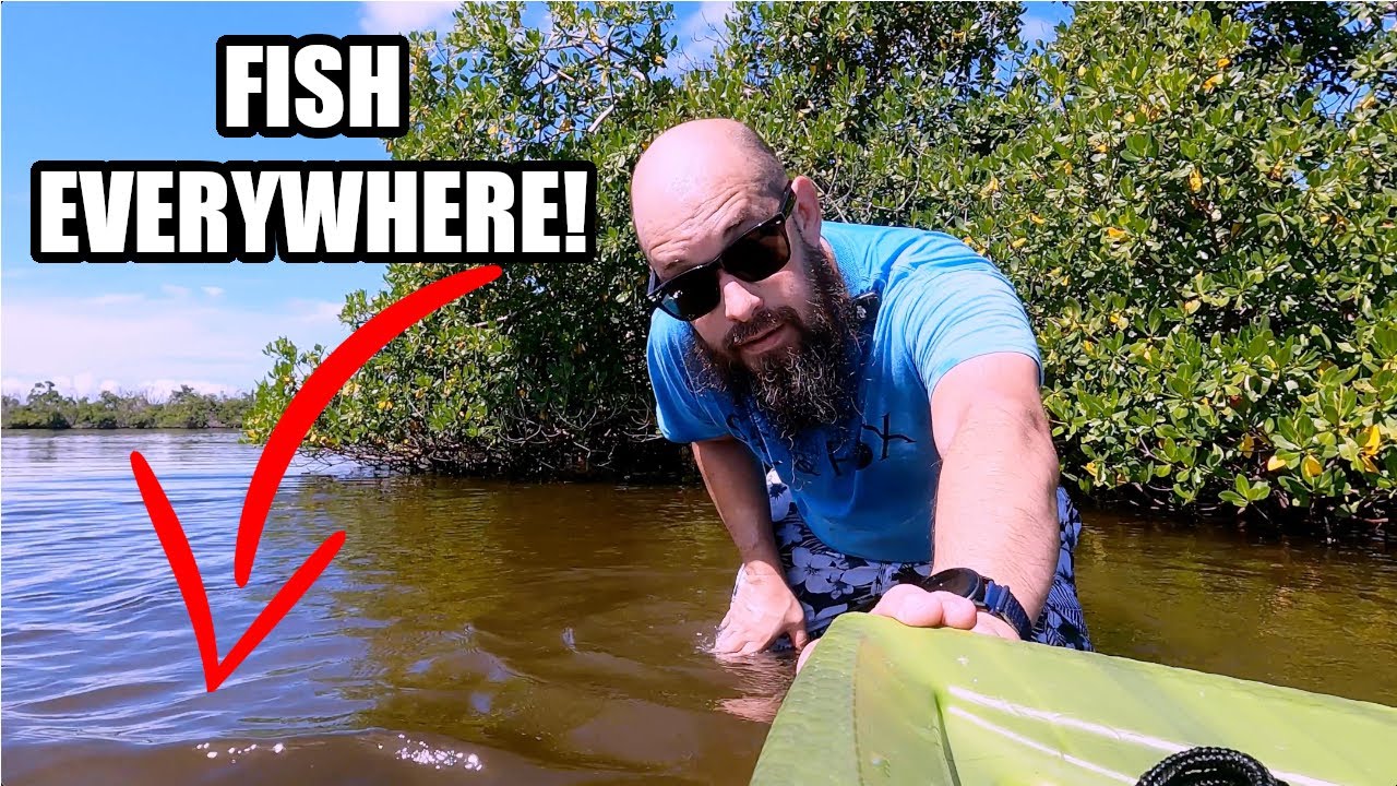 Matlacha to Gulf Coast: Kayaking Florida's Most Underrated Waters