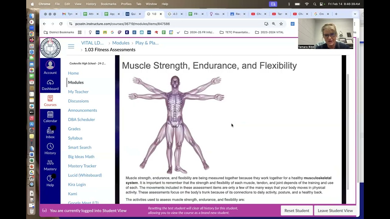 Wellness Plan Help LTW