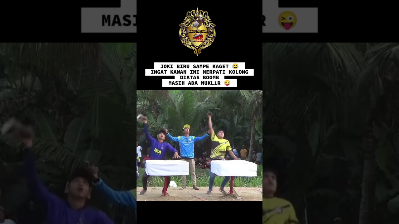 Ini burung apa roket 