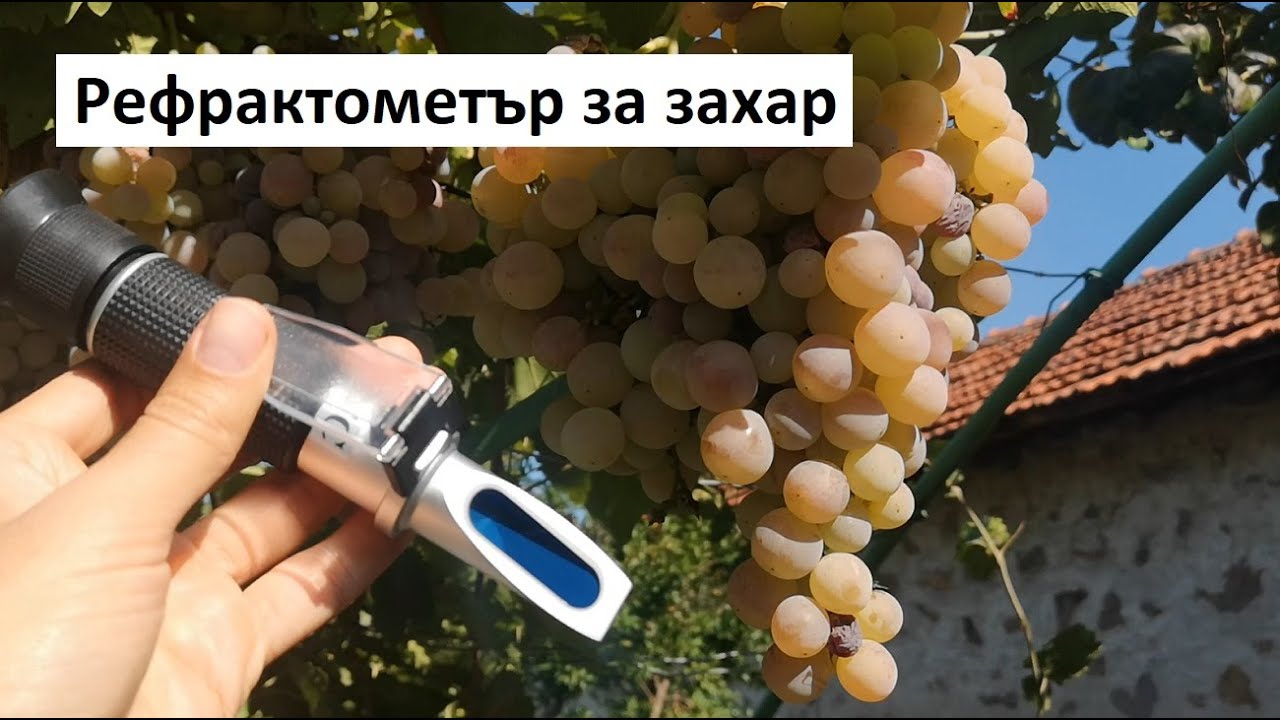 Рефрактометър за захар