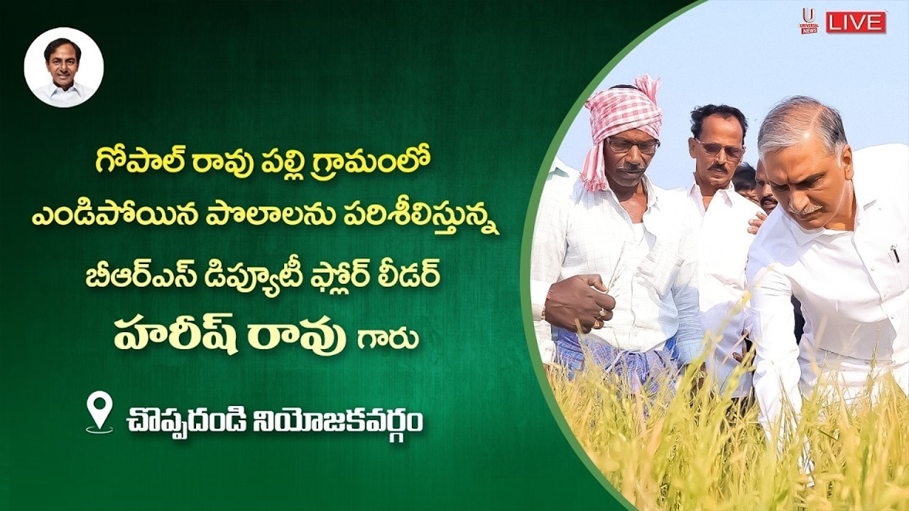రైతులతో మాట - ముచ్చట LIVE: Harish Rao Inspects Parched Fields in Gopalraopally | U News