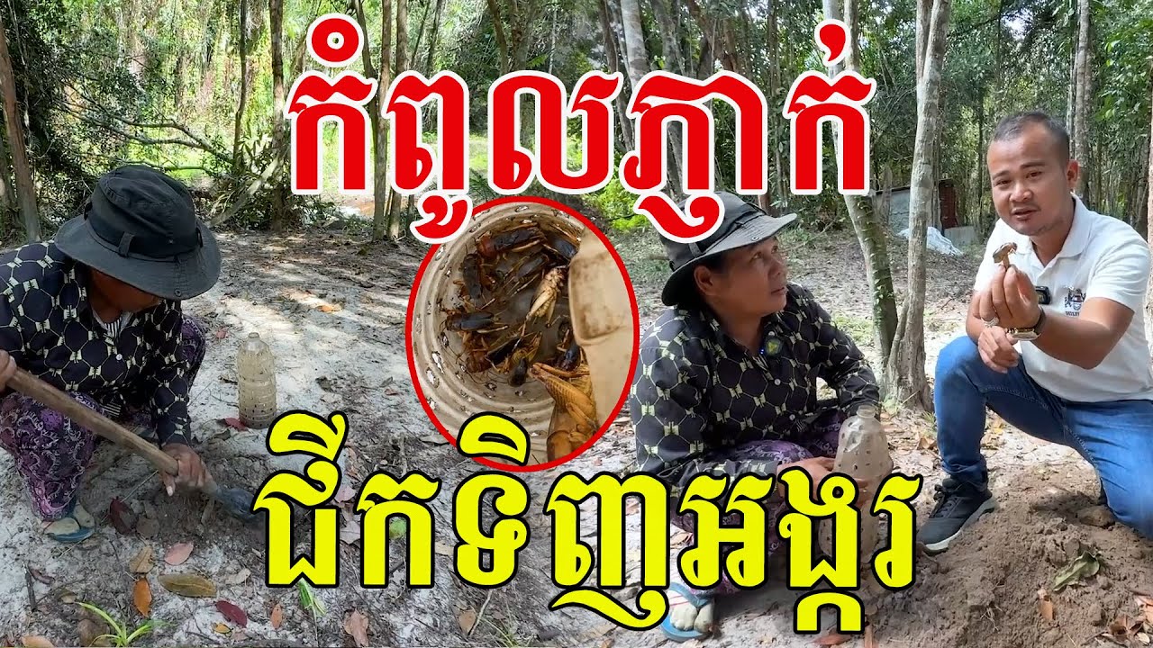 កំពូលភ្ញាក់ ដើរជីកទិញអង្ករ ៣នាក់កូនស្រី១ថ្ងៃបាន១០០ចង្រិត
