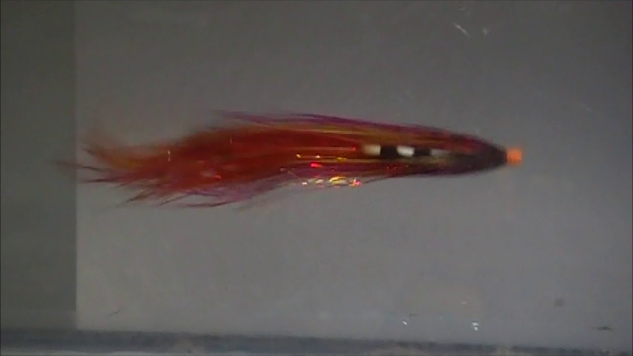 Sunburst Ostrich Spey Tube Fly  - Swim Tank Video