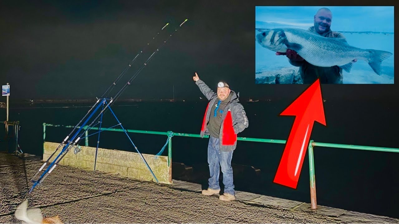 Are The MONSTER BASS Still Here? 