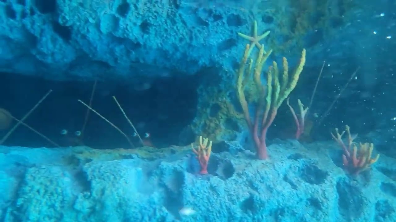 Disneyland Finding Nemo Submarine  Voyage Ride POV 2022 #wotd #Disneyland