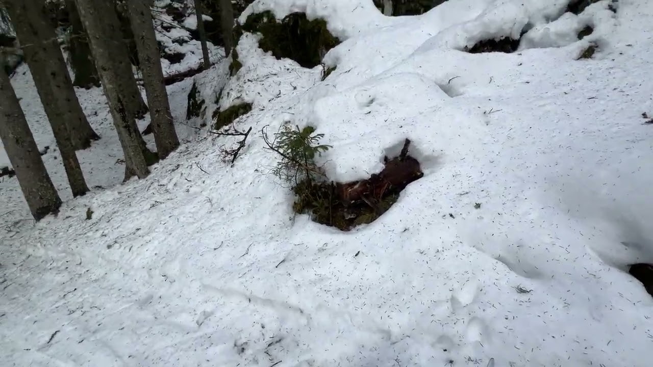 På ski til Ringkollen, 07.03.2026