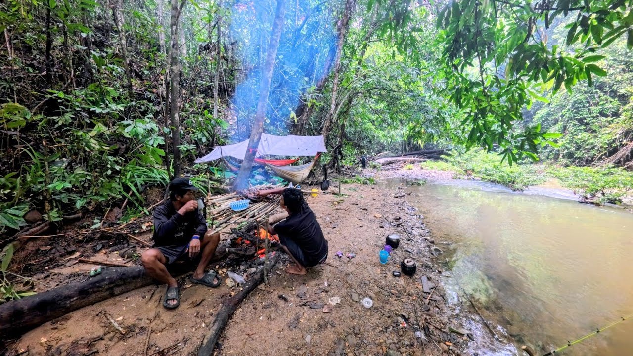 Camp fishing diguyur hujan, mancing di sungai batu hutan kalimantan ikan melimpah