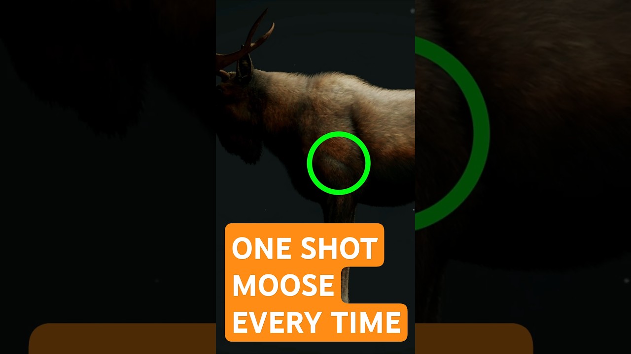 Как убить лося одним выстрелом #thehuntercotw #cotw #gaming