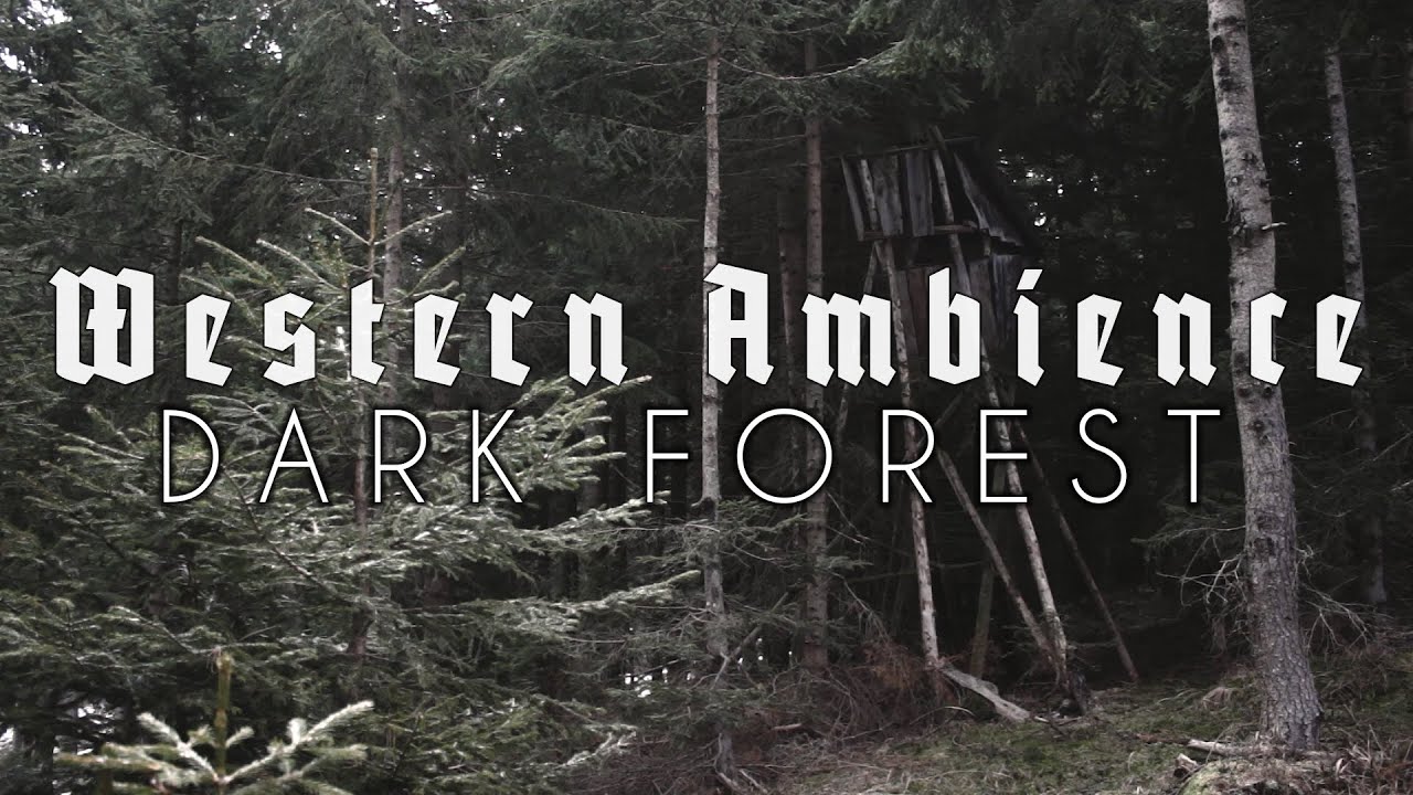 Dark Forest Ambience | Atmospheric Harmonica and Nature Sounds