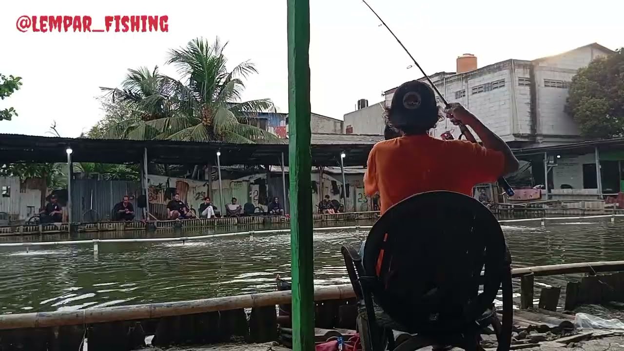 Mau cuci tangan ikan babonnya makan. #ikan_bawal @Lempar_Fishing 18 Januari 2026