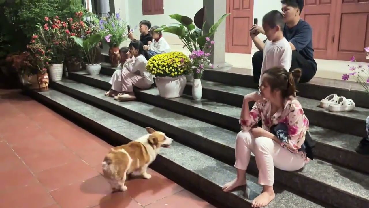 Những âm thanh mùa xuân !