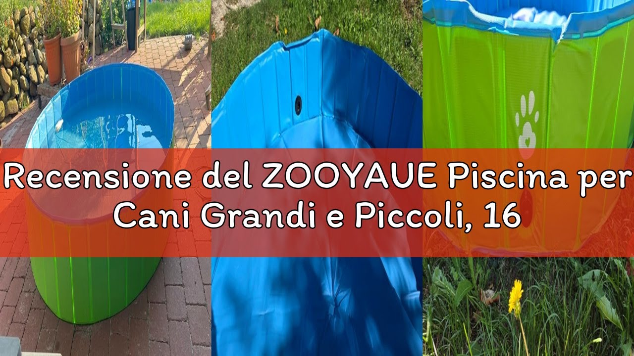 Recensione del ZOOYAUE Piscina per Cani Grandi e Piccoli, 160cm Piscina Pieghevole per Cani, Vasca d