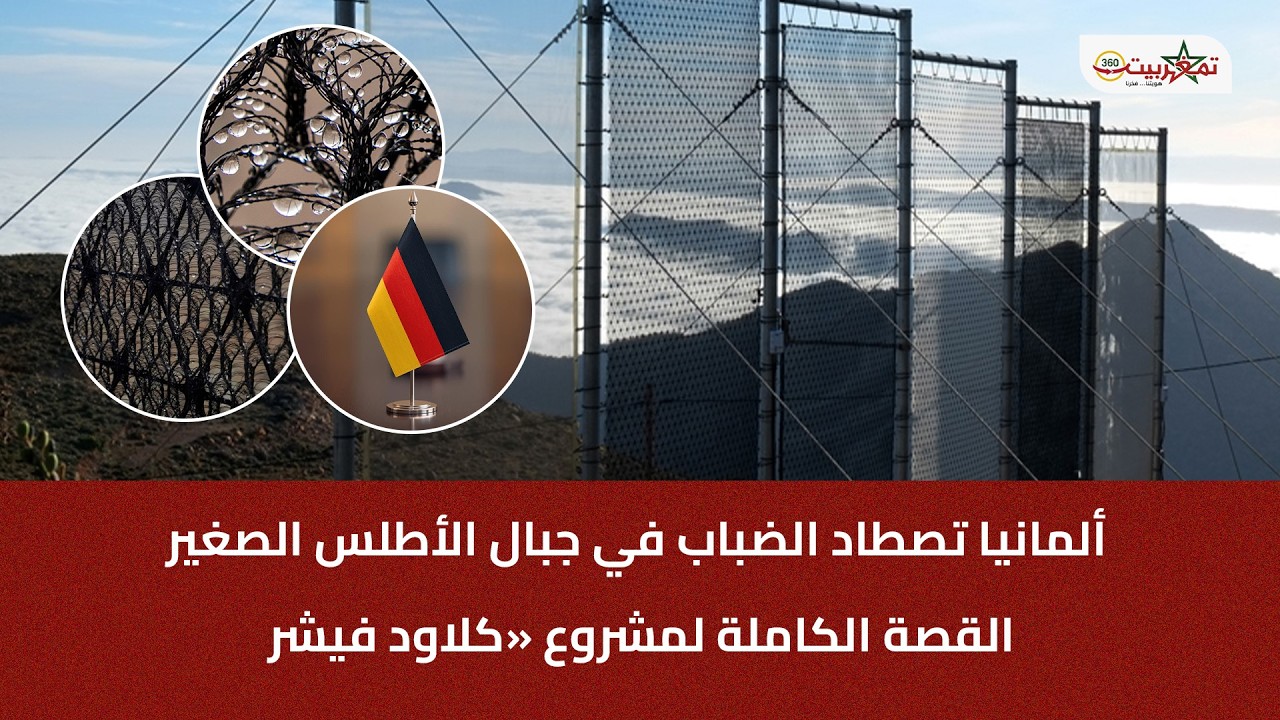 ألمانيا تصطاد الضباب في جبال الأطلس الصغير: القصة الكاملة لمشروع «كلاود فيشر