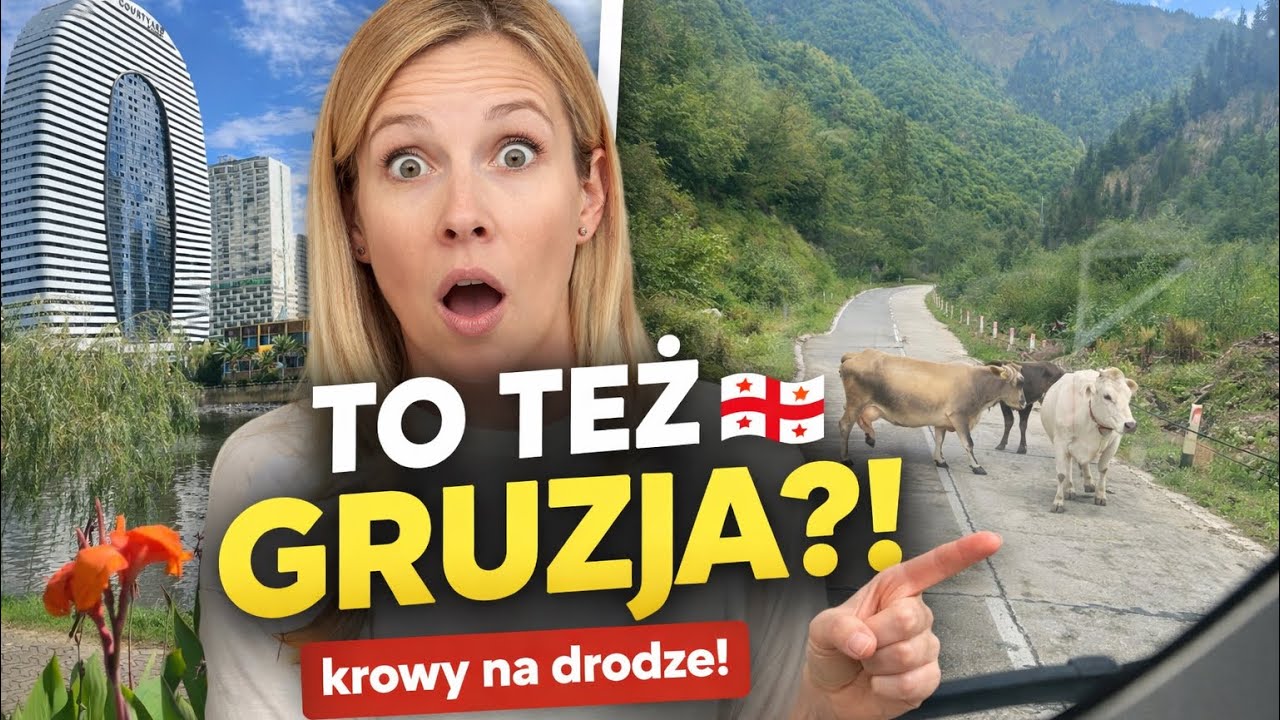 Batumi i prawdziwa Gruzja… krowy na autostradzie! 🇬🇪