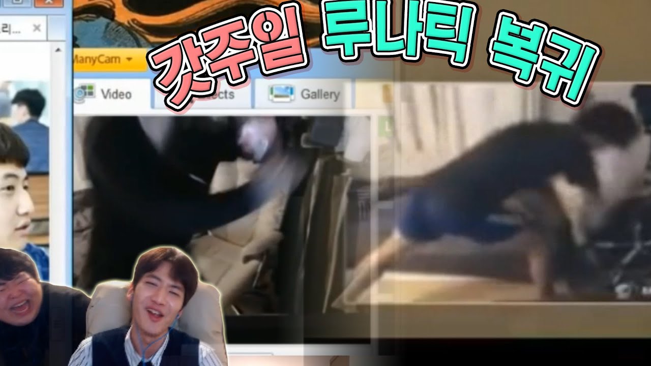 돌아와줘 주일이형..