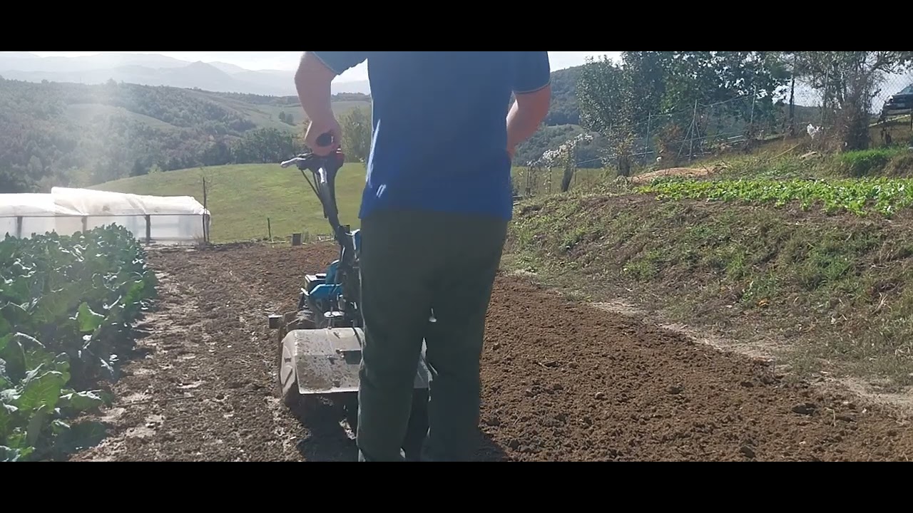 Fresatura superficiale con bertolini 407s