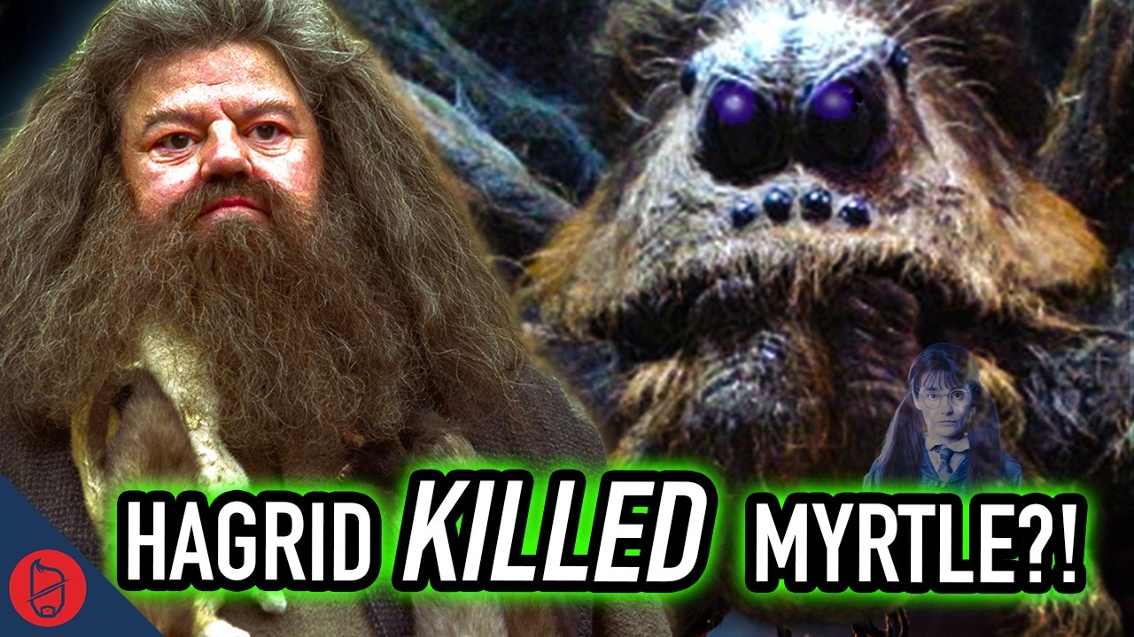 Theories From A Hat: Can We Defend These WILD Harry Potter Theories?